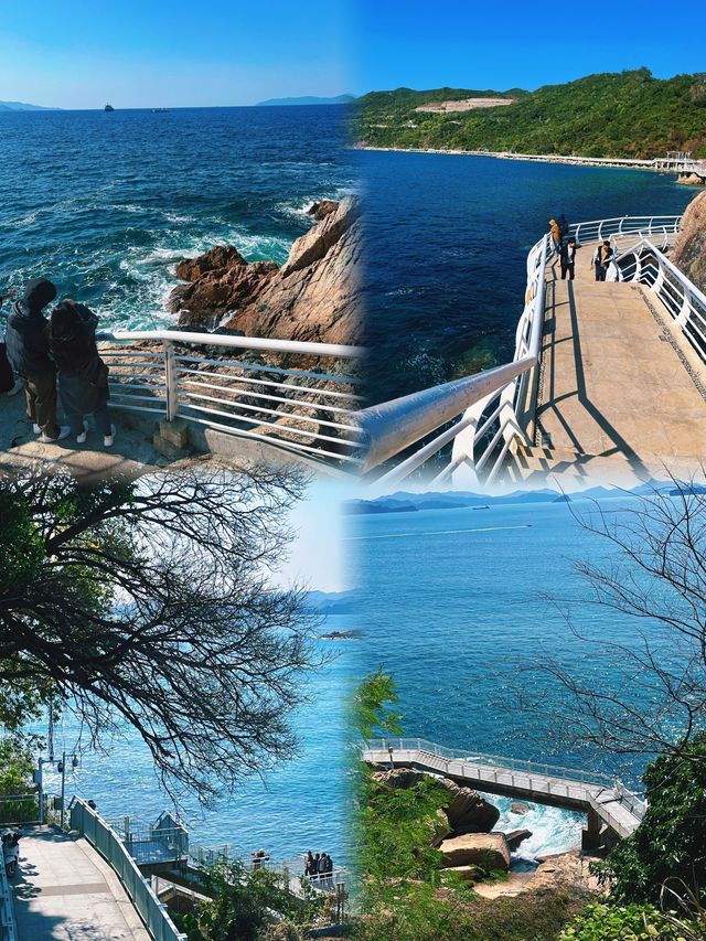 深圳限定春日花海，炮仗花瀑布美到失語