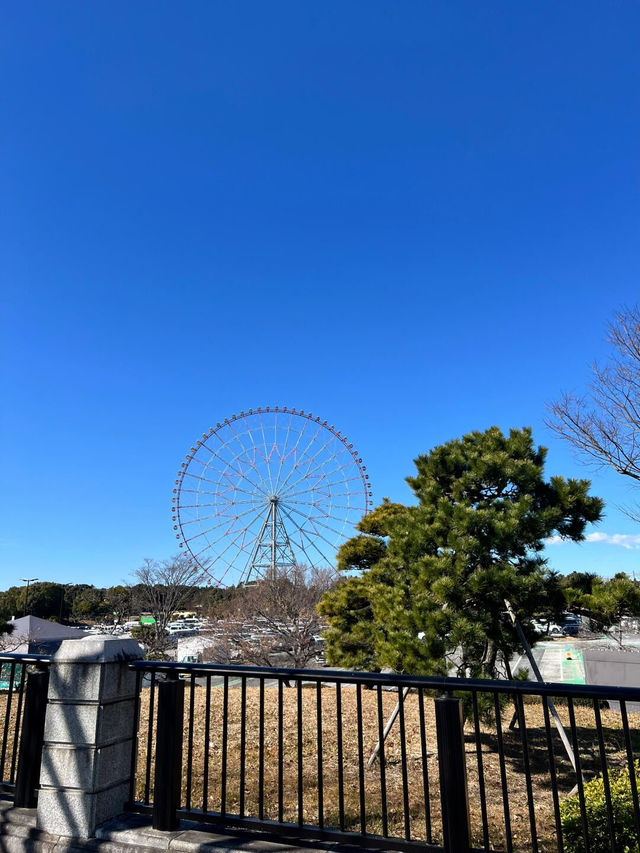 被我找到！東京現實版莫奈花園🌷