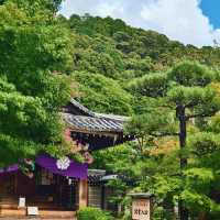 第一次去京都，這條3日路線直接抄❗