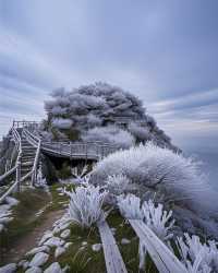 闖入貓兒山，邂逅綠野仙蹤