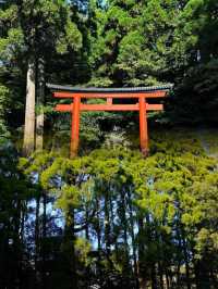 日本霧島市——體驗不一樣嘅日本風情