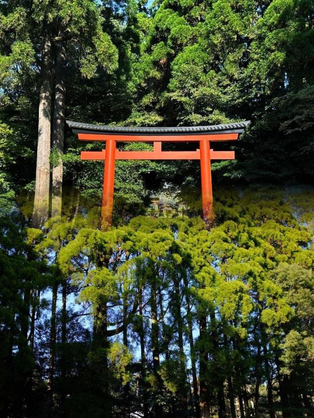 日本霧島市——體驗不一樣嘅日本風情