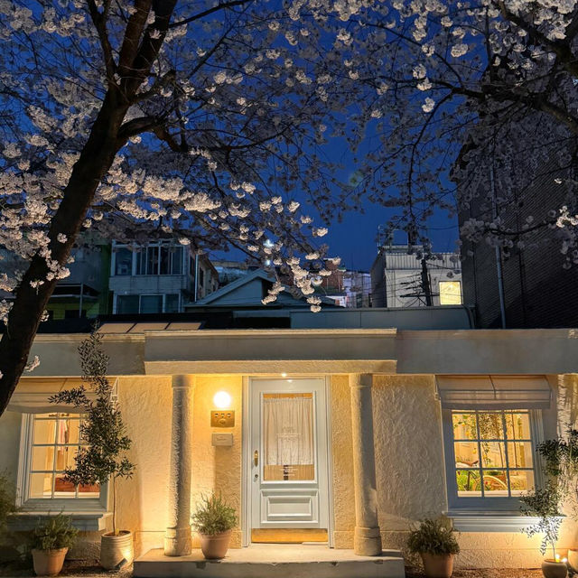 🌸首爾梨泰院 | 隱世櫻花秘景🌸