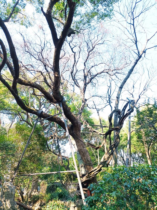 浙江名園