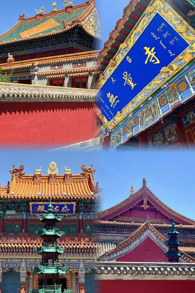 在呼和浩特，是否能找到內心渴望的自由？