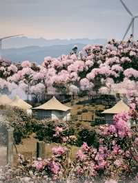 《雲端秘境｜烏蒙大草原：一場穿越四季的浪漫冒險》