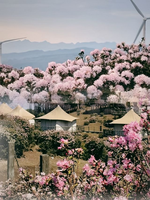 《雲端秘境｜烏蒙大草原：一場穿越四季的浪漫冒險》