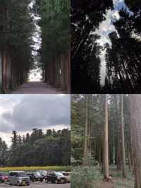 在那須鹽原的山川間，尋找生活的答案