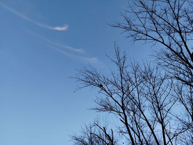 魚嘴濕地公園：邂逅江邊的自然秘境