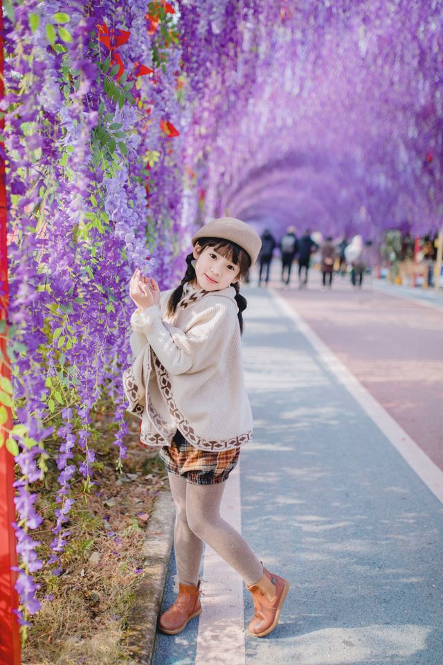 南京周邊上春山/我在大山崖壁上拍到了紫藤花海