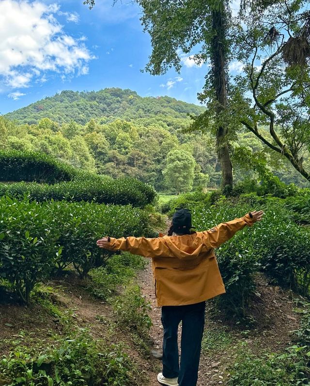 杭州九溪徒步 | 吸氧充電，邂逅春日絕美風光