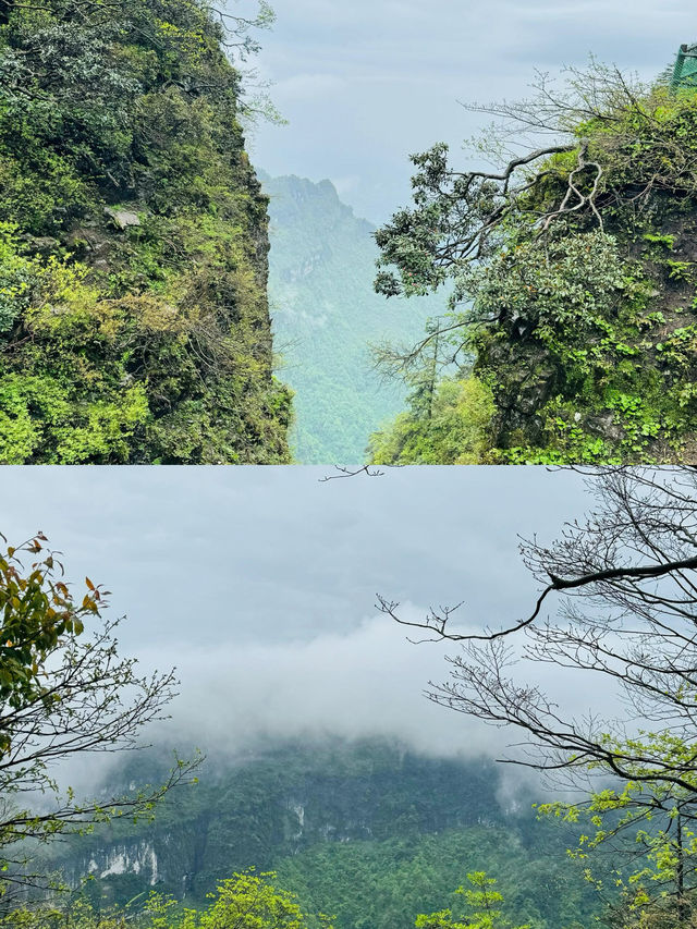 佛系青年的修仙之旅