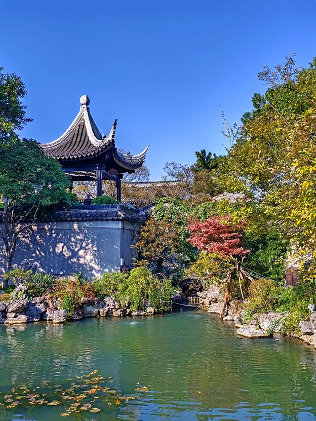 蘇州嚴家花園丨隱藏在古鎮裡的江南園林