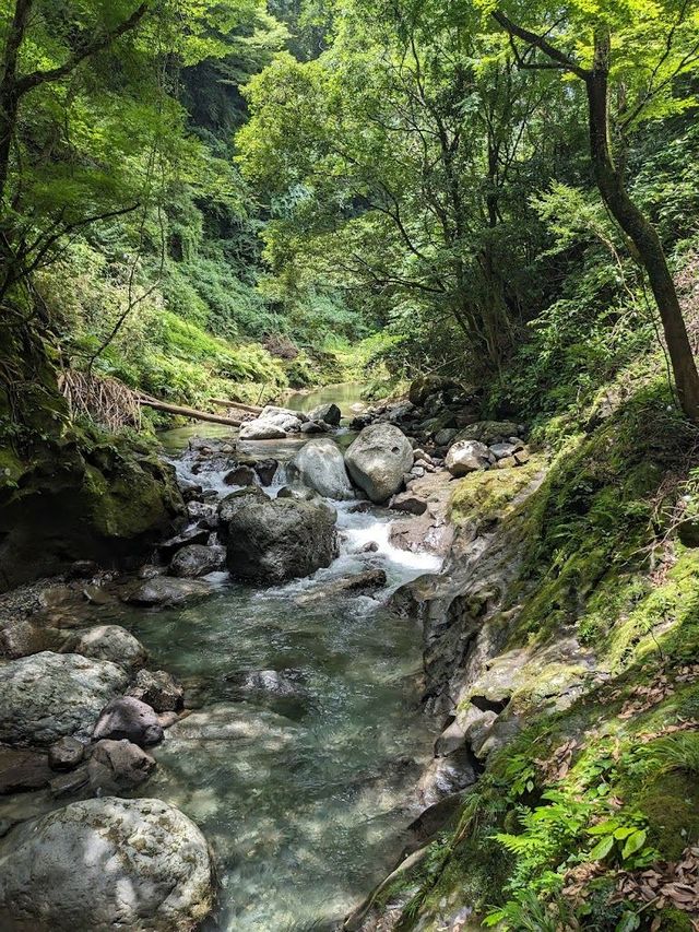 日本2日遊｜必玩景點 不看後悔