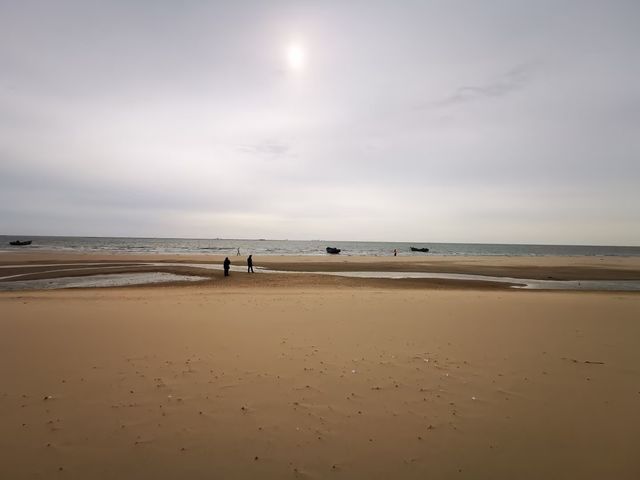 清明出行︱金夢海灣今日實況