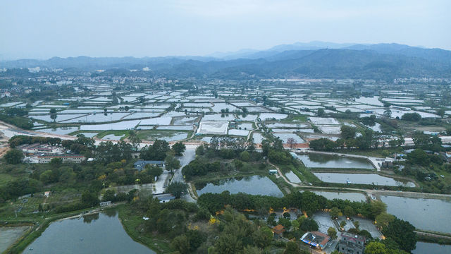 「嶺南威尼斯」，原生態水鄉的慢時光指南
