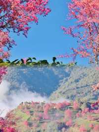 雲南，大理美得可以封神了
