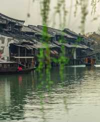 今年春季，我最喜歡的旅遊城市出現了