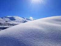 雪域秘境神奇普蘭