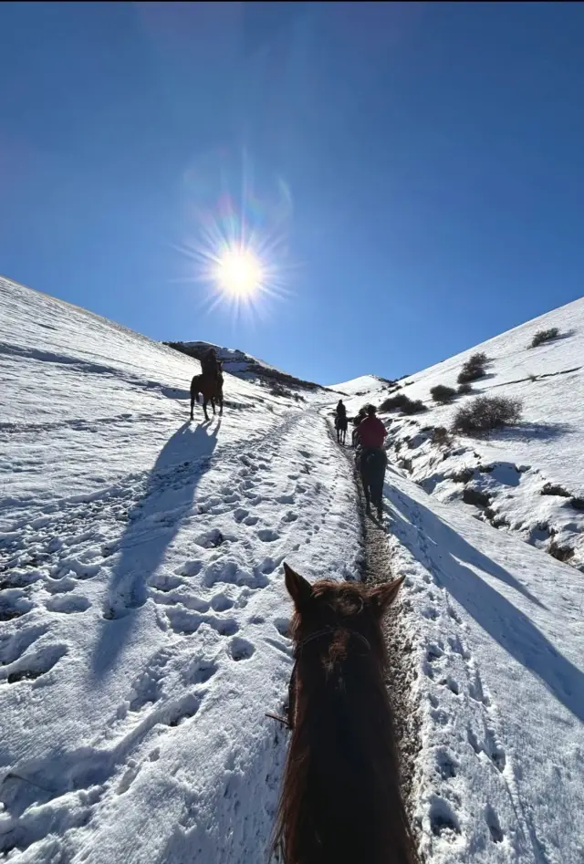 Horseback Riding into a Fairy Tale World