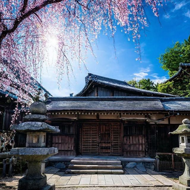 日本米子旅遊攻略！超好玩！