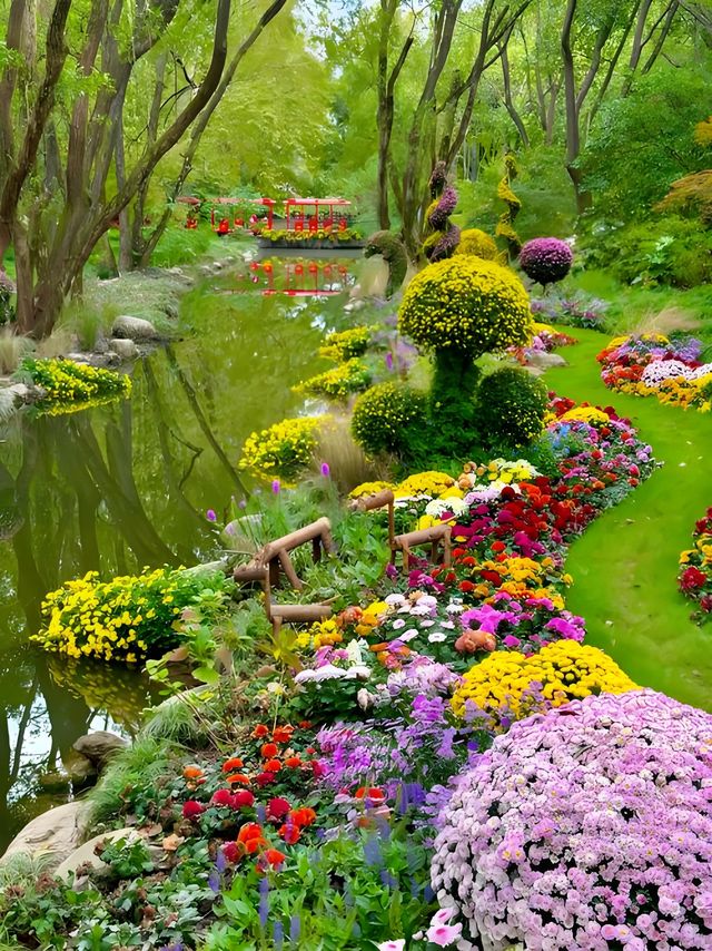 邂逅上海莫奈花園，沉浸式油畫之旅！
