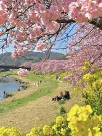伊豆🌸原來動漫裏的場景是真實存在的❗️