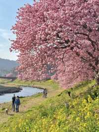 伊豆🌸原來動漫裏的場景是真實存在的❗️