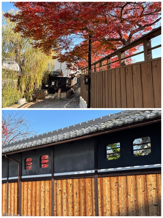日本草津市旅遊詳細攻略