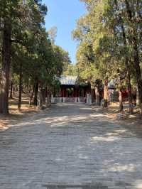 春日暢遊濟南-泰安-濟寧，美到令人心醉神迷