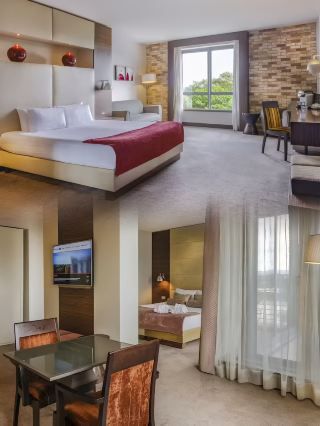 My Ideal Hotel in Limerick: Highly Recommend the Elysium Hot Spring Hotel