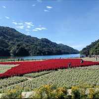 廣州石門森林公園一日游攻略