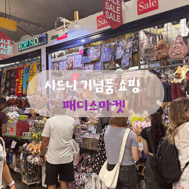 시드니 기념품 쇼핑은 여기서🇦🇺🛍️