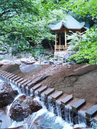 Hangzhou Travel | The Deep Tranquility of Tianmu Mountain