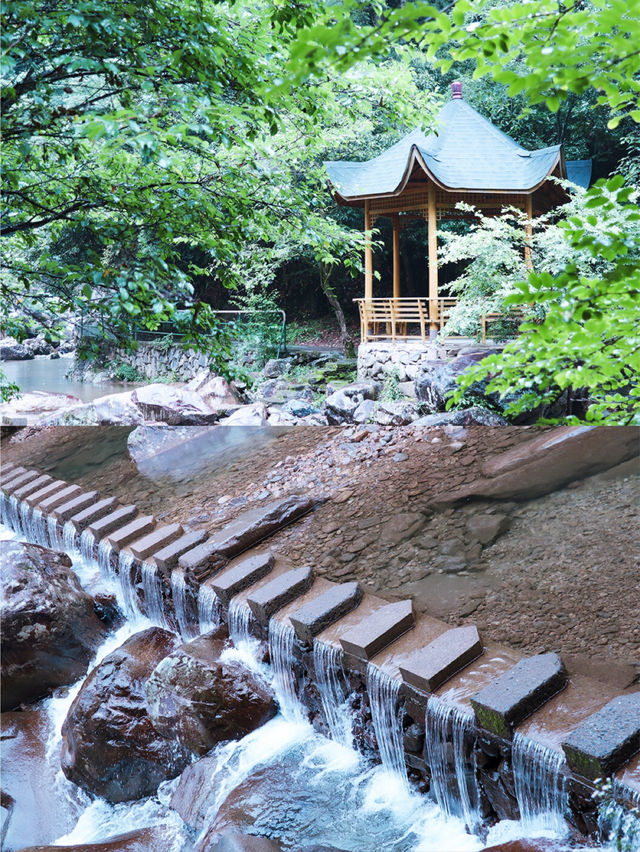 杭州旅遊｜天目山嘅深邃寧靜真係好寫意。