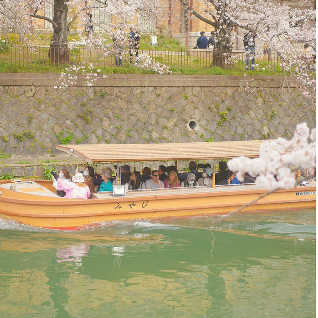 櫻花季赴京都，這條Citywalk路線快存好🌸