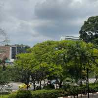🇸🇬探秘新加坡 | 福康寧公園樹洞，藏在都市裡的綠野仙蹤