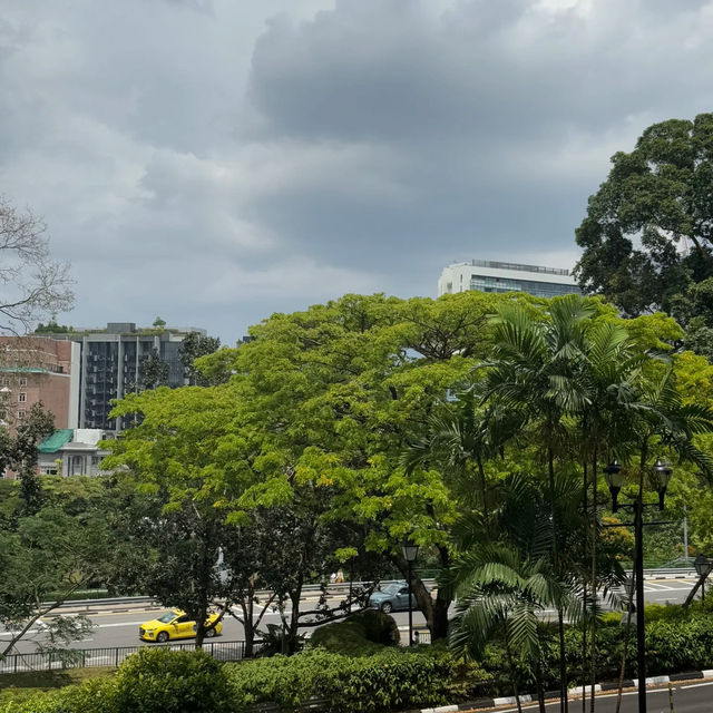 🇸🇬探秘新加坡 | 福康寧公園樹洞，藏在都市裡的綠野仙蹤