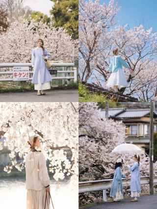 🌸A must-go for cherry blossom viewing in Japan! Top 5 cherry blossom viewing spots in Kansai + detailed guide
