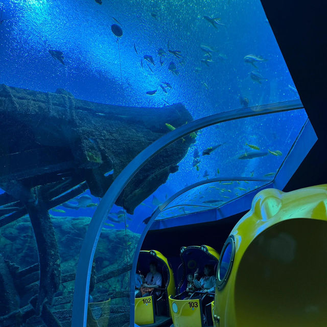 珠海必玩!邂逅可愛海洋生物🐬 珠海必玩!邂逅可愛海洋生物🐬