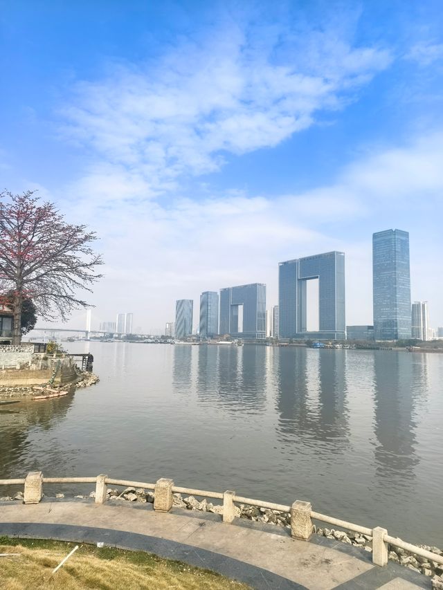 廣州番禺：上漖珠江邊的木棉花