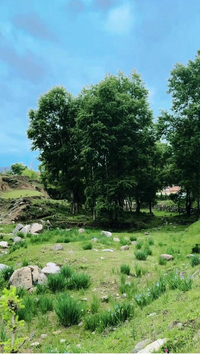 度假勝地蘭州