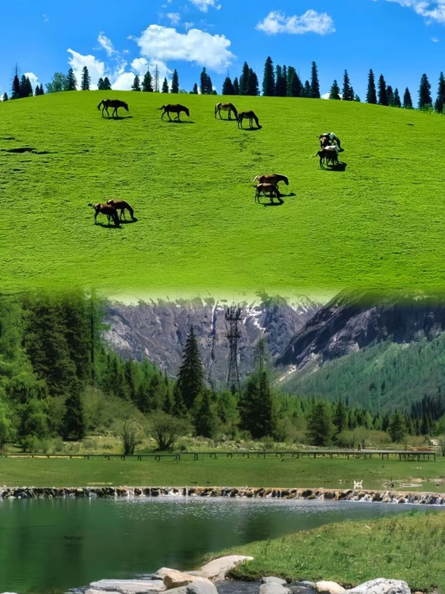 天呀，去一趟川西後才知道，虧大了