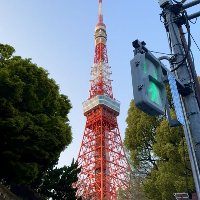 東京Citywalk｜鐵塔下的浪漫與治癒🌆