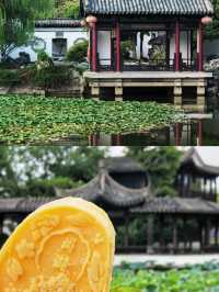 發現常熟：藏在江南的靜謐寶藏，蘇州風情的絕佳平替