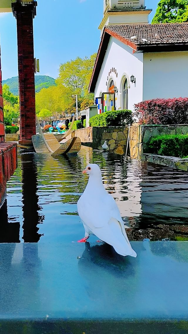 庾村廣場的最佳遊玩時間是什麼時候？