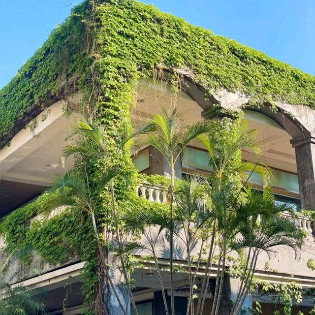 廣州蒲洲花園綠房子與明珠灣大橋｜地鐵直達的絕美海邊打卡秘境
