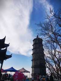 翠綠嘅藤蔓肆意攀爬，如綠色嘅詩行。