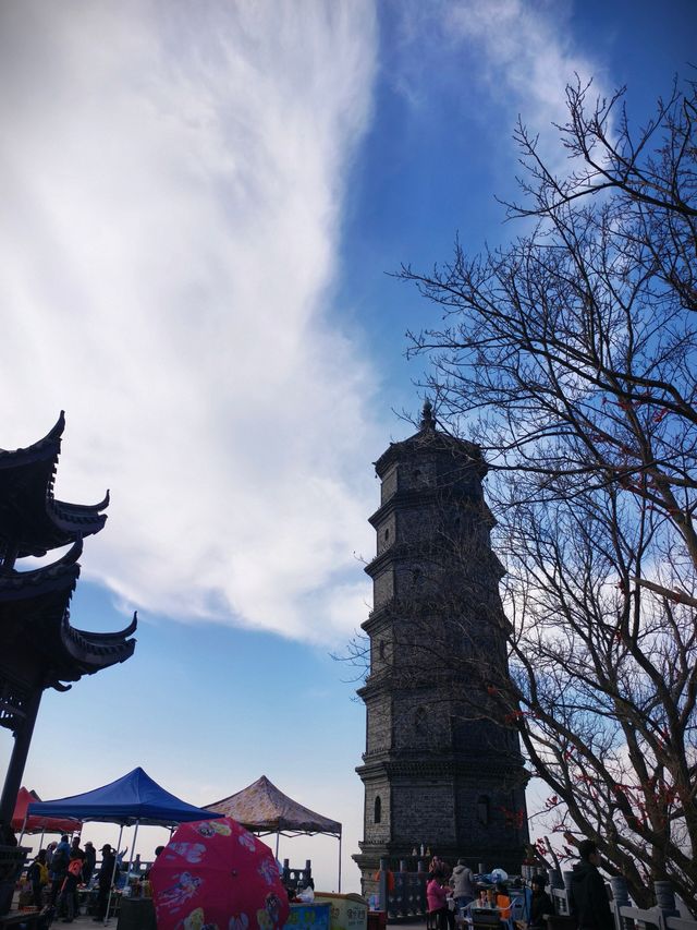 翠綠嘅藤蔓肆意攀爬，如綠色嘅詩行。