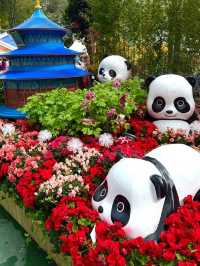 🌺香港維多利亞港花卉展2025：仿佛童話世界的美麗盛宴🌺